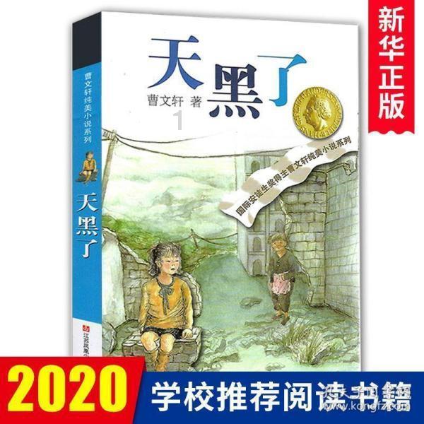 狂奔的忍者2